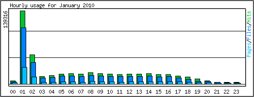 Hourly usage