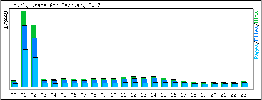 Hourly usage