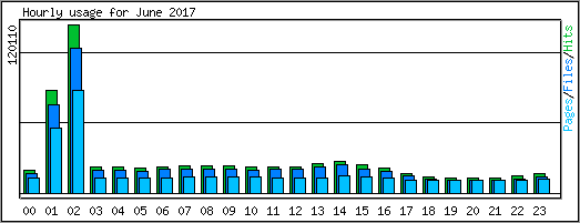 Hourly usage