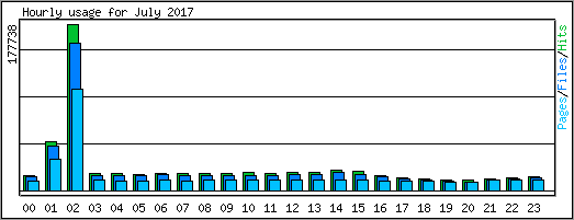 Hourly usage