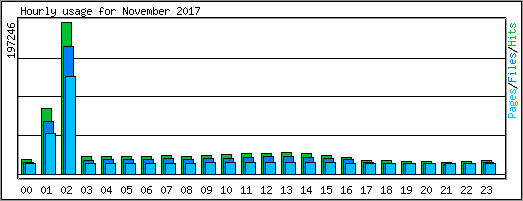 Hourly usage