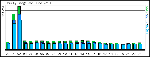 Hourly usage