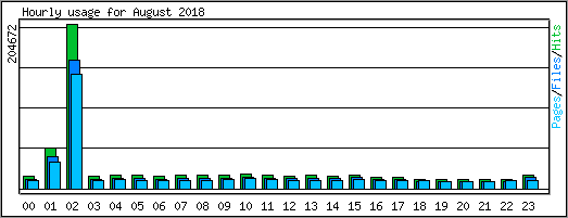 Hourly usage