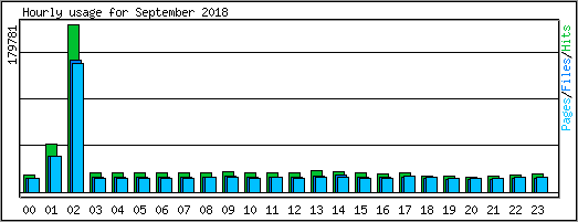 Hourly usage