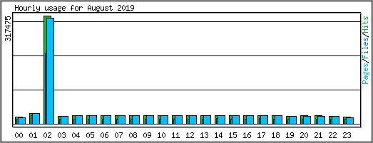 Hourly usage