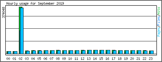 Hourly usage