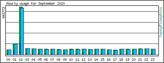 Hourly usage