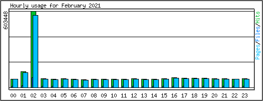 Hourly usage