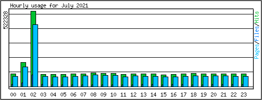 Hourly usage