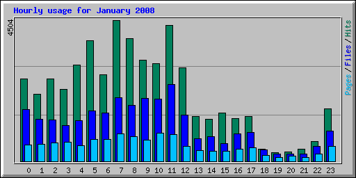 Hourly usage for January 2008