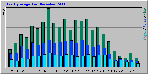 Hourly usage for December 2008