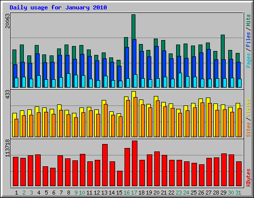 Daily usage for January 2010