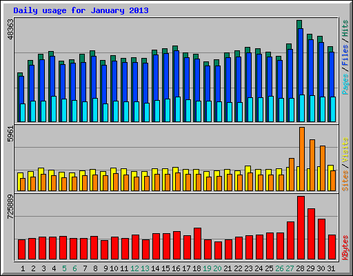 Daily usage for January 2013