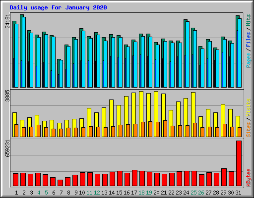 Daily usage for January 2020