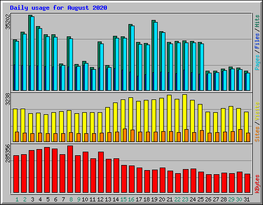 Daily usage for August 2020