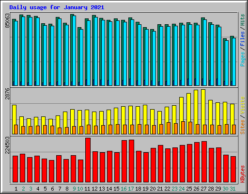 Daily usage for January 2021