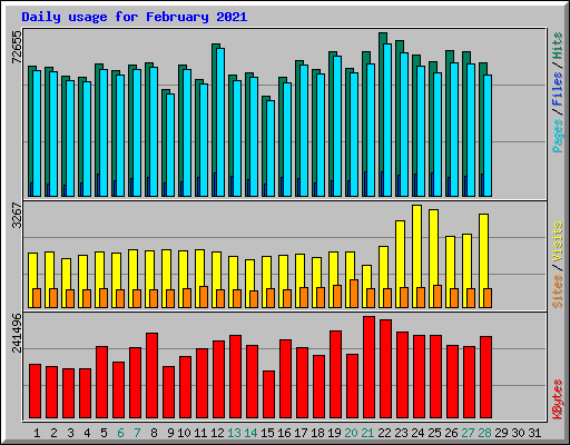 Daily usage for February 2021