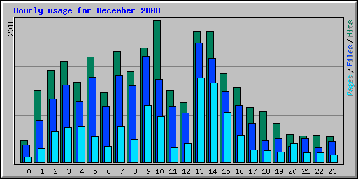 Hourly usage for December 2008