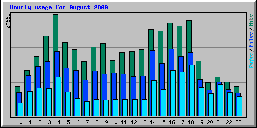 Hourly usage for August 2009