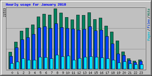 Hourly usage for January 2010