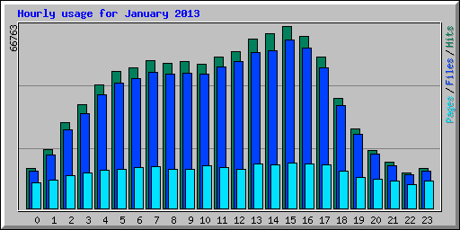 Hourly usage for January 2013