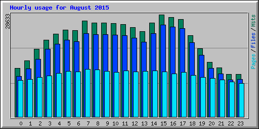 Hourly usage for August 2015