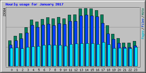 Hourly usage for January 2017