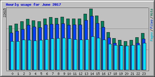 Hourly usage for June 2017