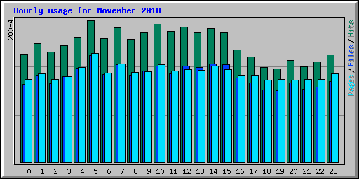 Hourly usage for November 2018