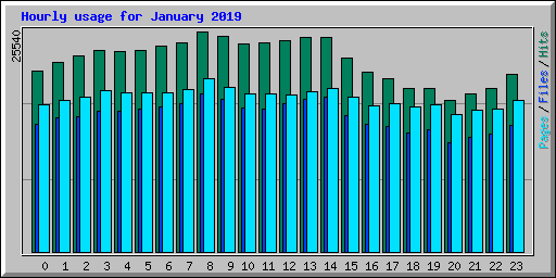 Hourly usage for January 2019