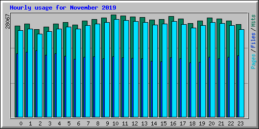 Hourly usage for November 2019