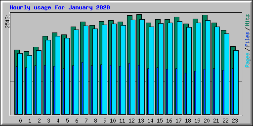 Hourly usage for January 2020