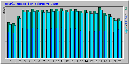 Hourly usage for February 2020