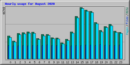 Hourly usage for August 2020