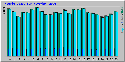 Hourly usage for November 2020