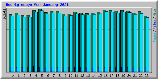 Hourly usage for January 2021