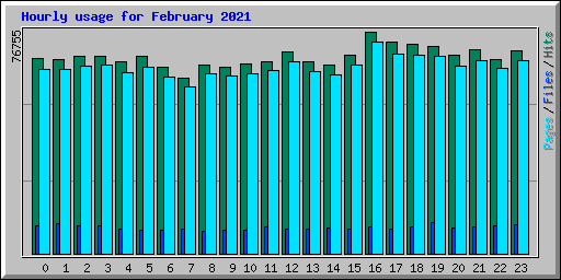 Hourly usage for February 2021