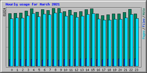 Hourly usage for March 2021