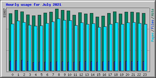 Hourly usage for July 2021